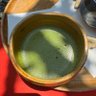 やる夫茶🍵's profile picture