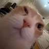 Alejoo's profile picture