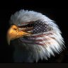 Steven Sharkey's profile picture