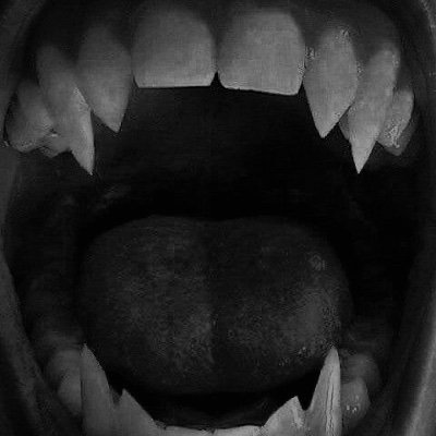 R0tt3nNfsw's profile picture