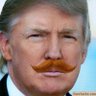 Profilbild von Donald J. Drumpf (Parody)