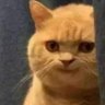 Profilbild von Inbonyawong wei