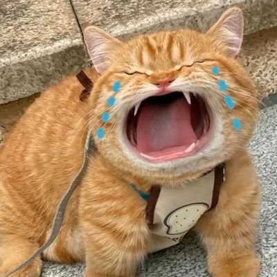 哈哈(美乳主播)'s profile picture