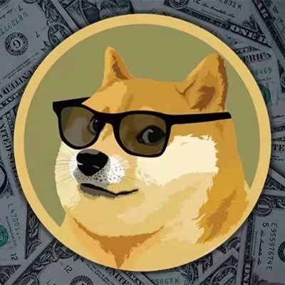 sol_dagou's profile picture