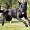 AGILITY tv profil fotoğrafı