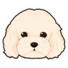 ちゃいあっさむ 的头像