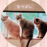 Фото профиля りお🍀