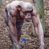 igbudu white's profile picture