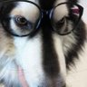 Profilbild von 小学读了四年