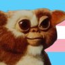 based gizmo 🏳️⚧️ 🇵🇸 profil fotoğrafı