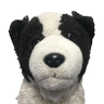 Bernerd Dog 的头像