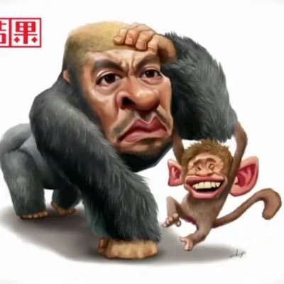 クイヤ's profile picture