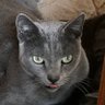 umaaya profil fotoğrafı