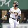 ウレ川ーニャ児 的头像