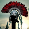 JORGE ANTONIO CASTRO RINCON's profile picture