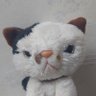 ぴろりぃたん☆ 的头像