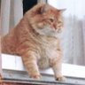 joynaka :)'s profile picture