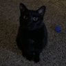 Bdawgy's profile picture