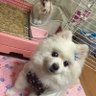 Фото профиля masami