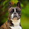 Фото профиля Hutchfarmer