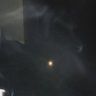 calm_male's profile picture