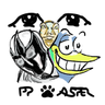 pp.asper's profile picture