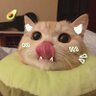 Profilbild von sun123