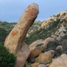 Andr profil fotoğrafı