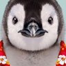 Profilbild von Skelter