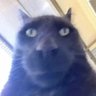 luluandlindy's profile picture