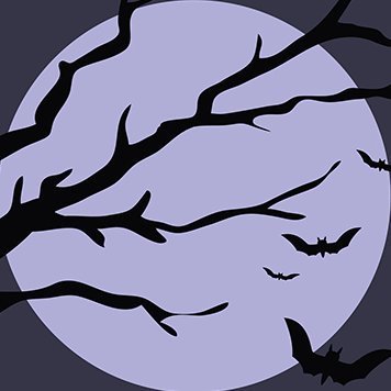 senpai_birds__'s profile picture