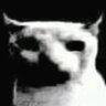 Profilbild von rugby