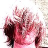 pascal's profile picture