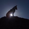 Фото профиля Andrew Macpherson