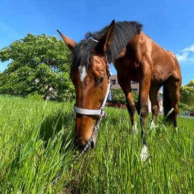 O_Bajyutubu1949's profile picture