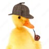 ADuckOnQuack 的头像