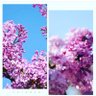 ru_chanâºïžðð's profile picture