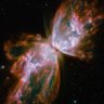 Фото профиля The Awakening