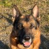 Profilbild von Thor