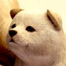 hikaru profil fotoğrafı