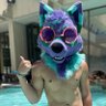 Фото профиля HakuHusky 🔜 MFF