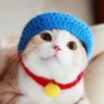 じゅんちん profil fotoğrafı