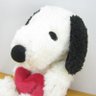 かえで's profile picture