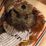弥太郎🐩🐟⚾️🏀🍜🎣 的头像