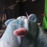 ByvvChoi's profile picture