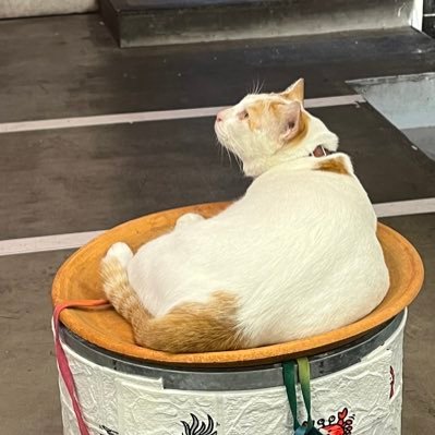 myfirdiary's profile picture