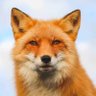 Fox Muiz profil fotoğrafı