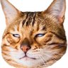Profilbild von dwiiiiiiiiiiiiiiiiiiii