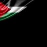 رولا🇵🇸 的头像
