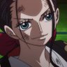 rerenmdi's profile picture